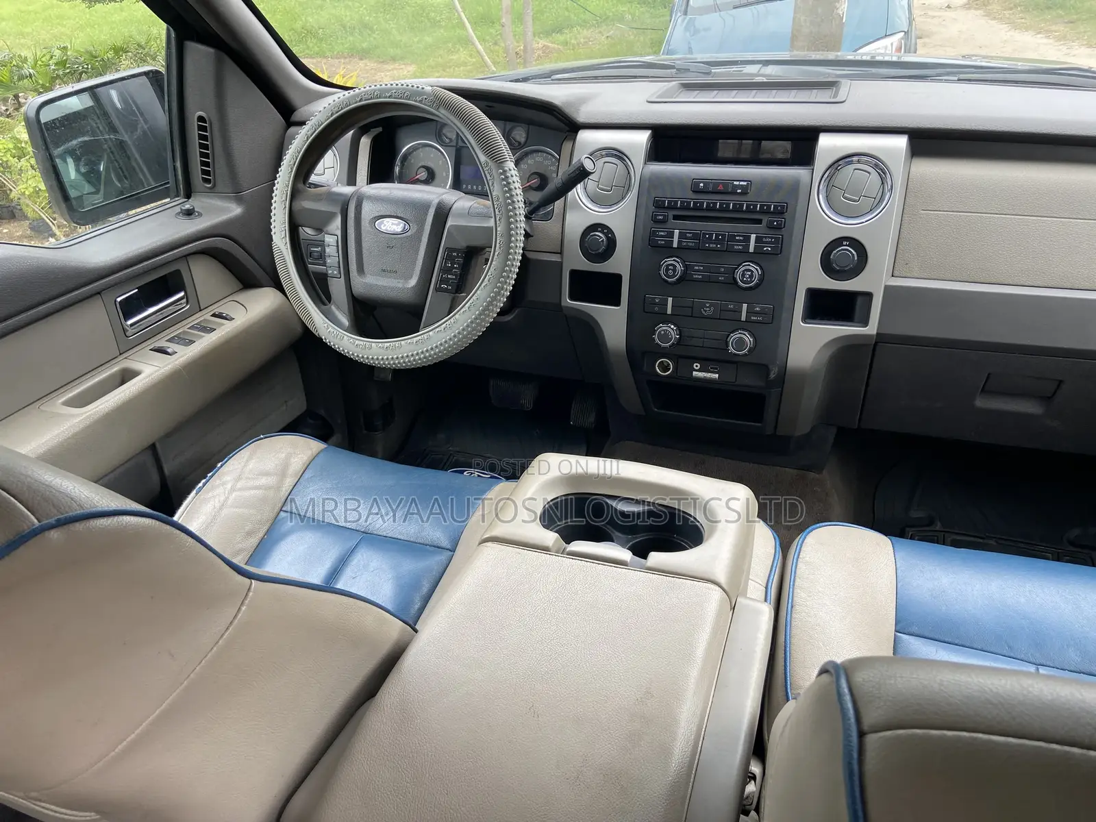 Ford F-150 FX4 2011 Blue