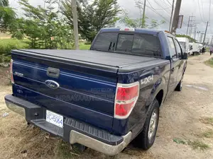 Ford F-150 FX4 2011 Blue