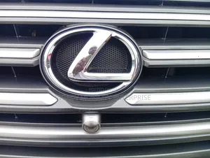 Lexus GX 460 2010 Gray