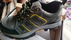 Safety Shoe Canvas