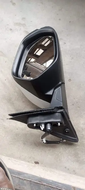 Side Mirror With Light 19hrv