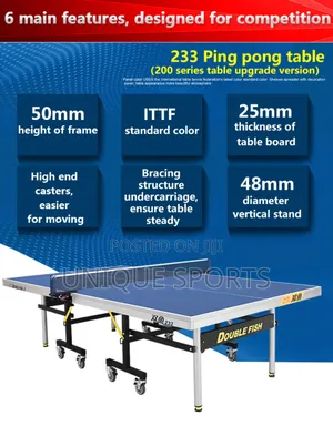 Professional Double Fish 233 Indoor Tennis Table