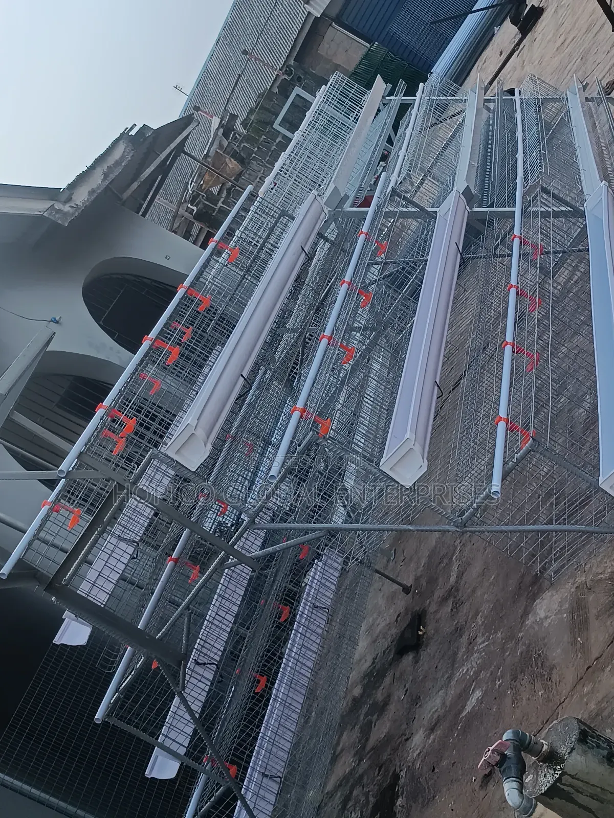 Hot Deep Imported Cage 