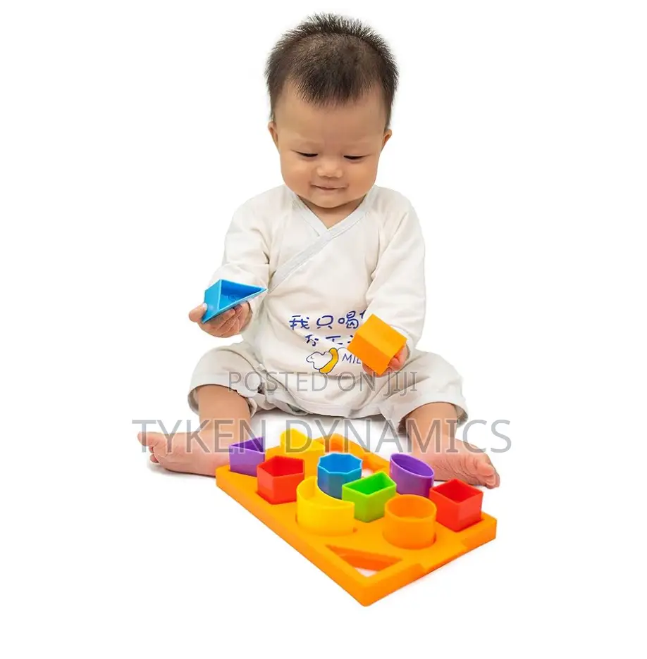 Shape Sorter Tray