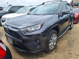 Toyota RAV4 XLE AWD 2020 Gray