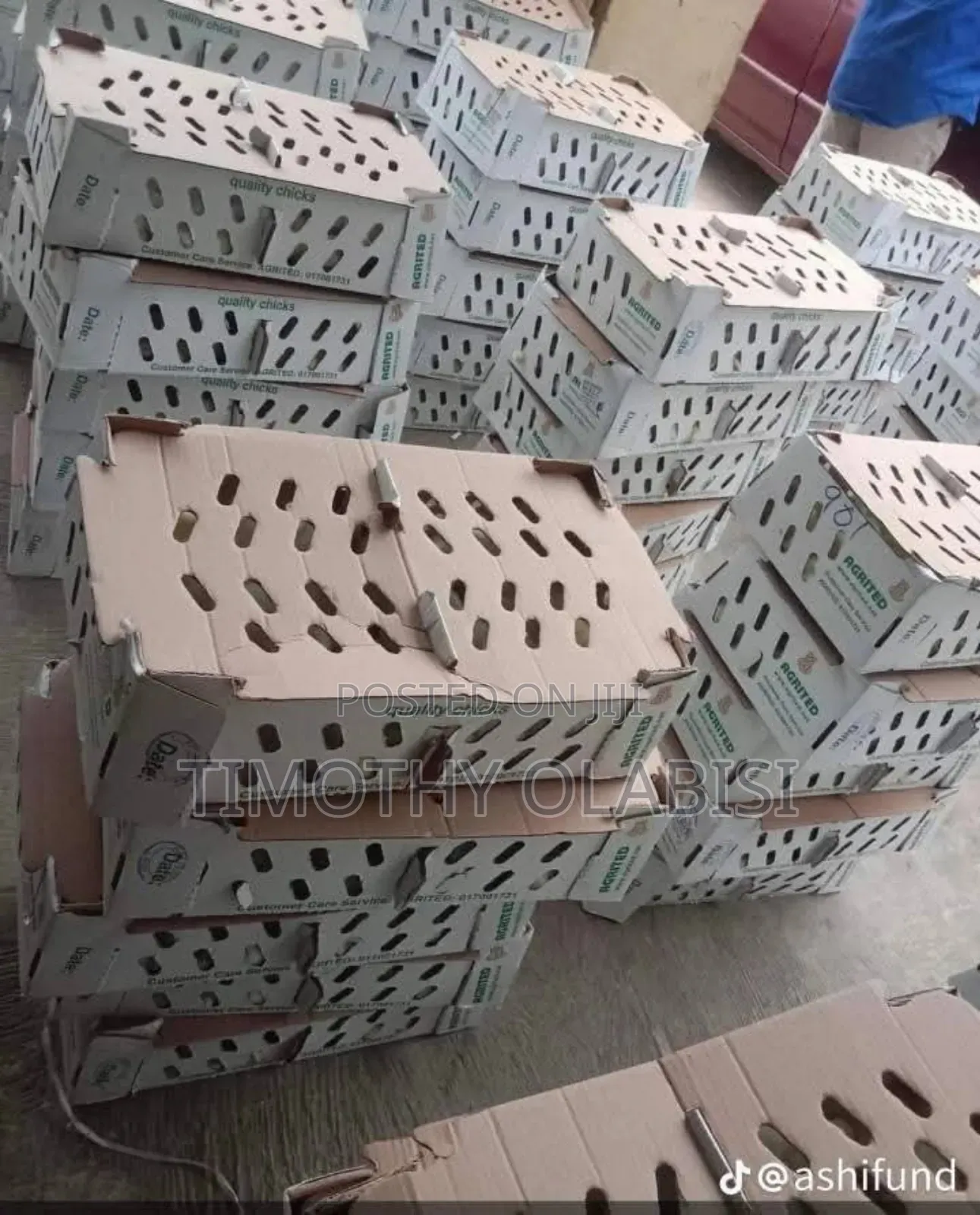 A Day Old Broilers And Layers