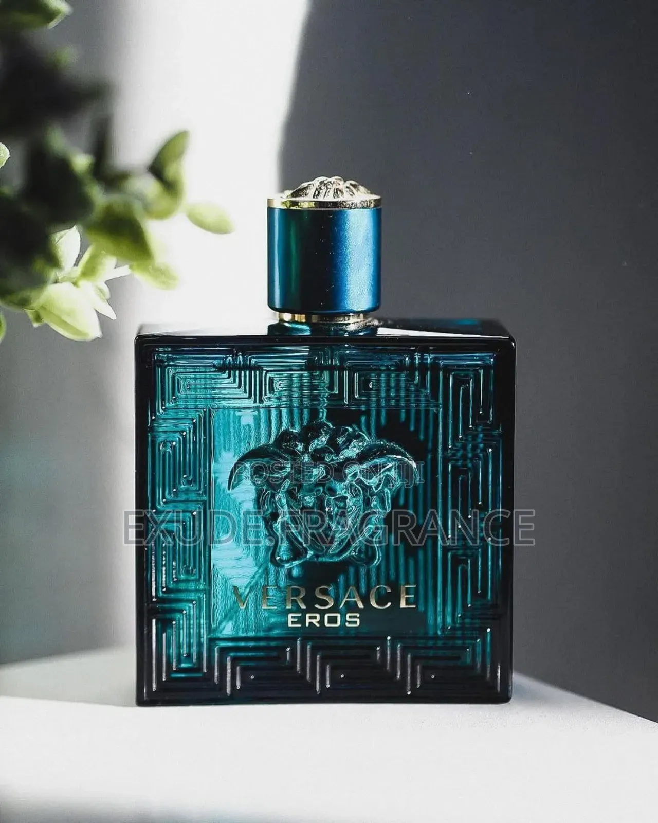 Versace Perfumes