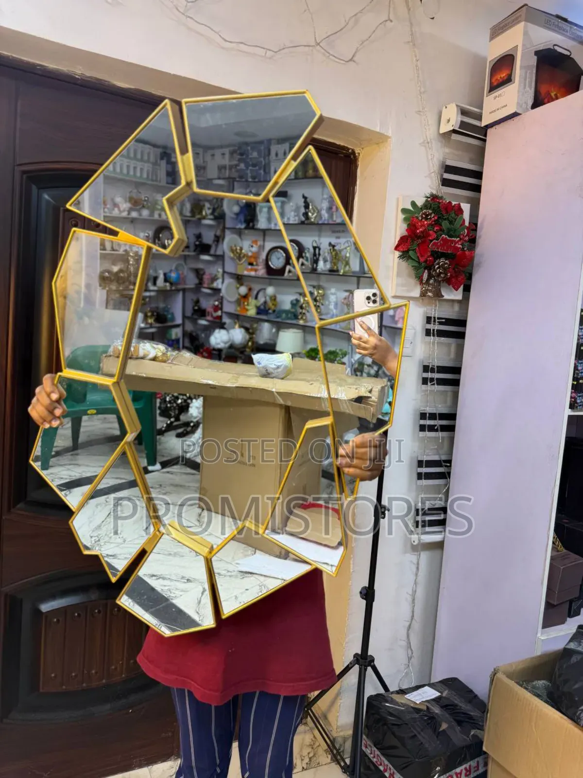 Cobweb Luxury Wall Mirror (Large Size)