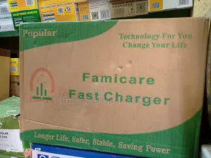Battery Charger 50a