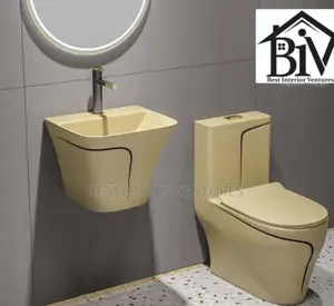 Executive Wuc Sit and Washing Hand Basin