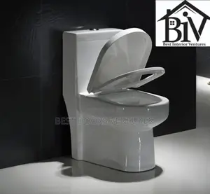 Executive Council Toilet