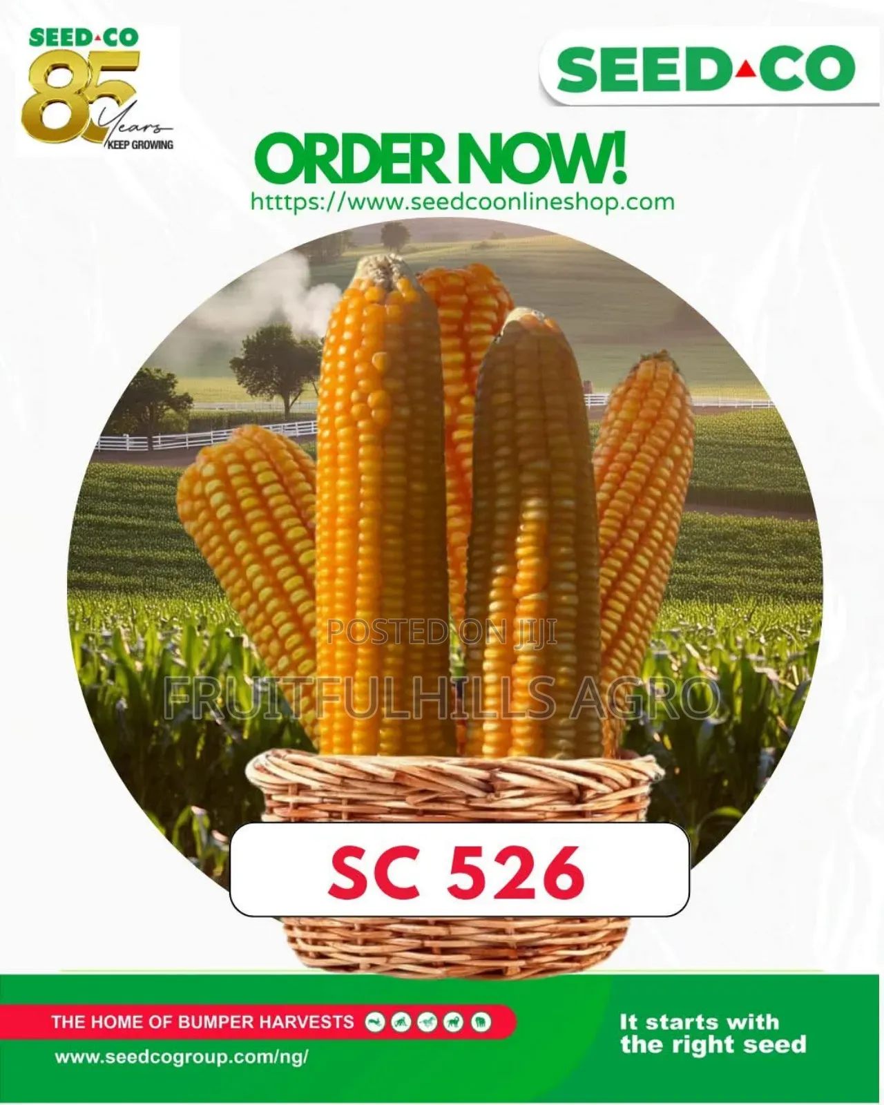 Seedco Maize Seed Sc526