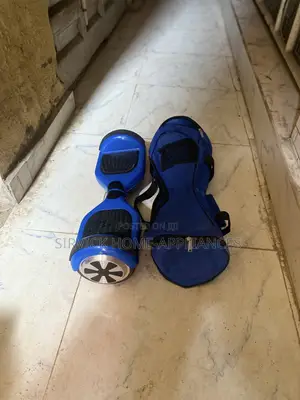 Sharp Zinc Product Hoverboard With Bag and Charger