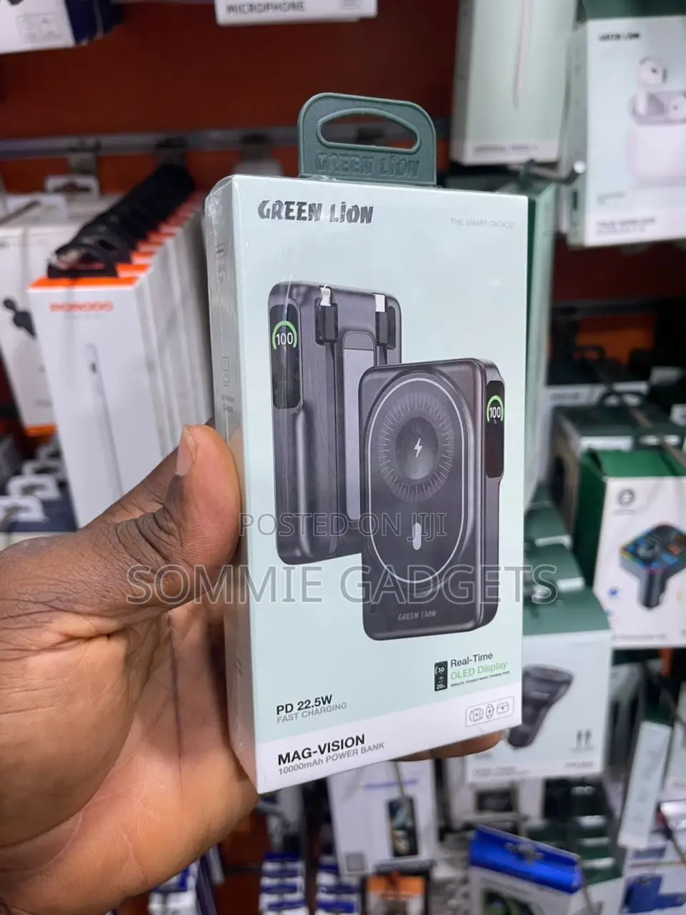 Green Lion Pd 22.5w,10000mah