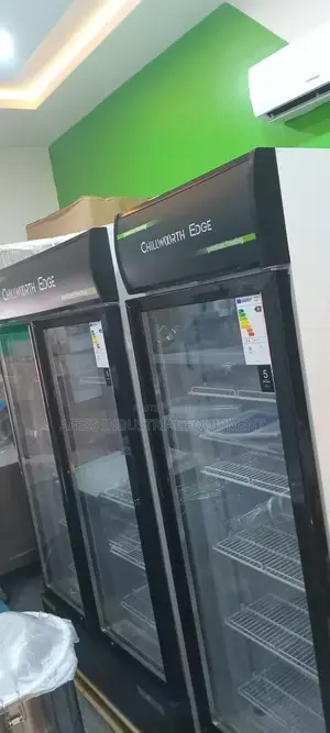 New Single/Double Door Industrial Standing Chillers