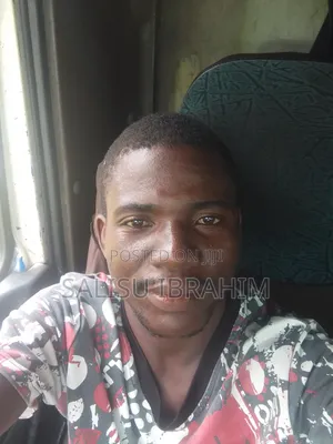 Am Truck Driver