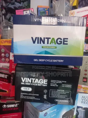Vintage Wellrun Korea Gel Deep Cycle Battery (12v12ah)