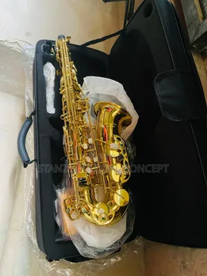 Photo - Intermediate Premier Sanjin Alto Saxophone