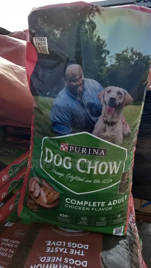 1+ year Male Purebred Dog