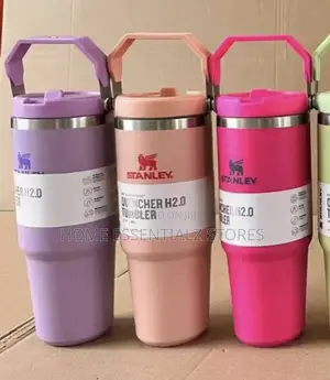 Stanley Vacuum Cup With Upright Handle