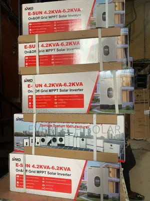 6.2kva Sako Hybrid Inverter Built In Mppt 100ahms