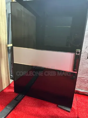 Pivot Swing Door 3