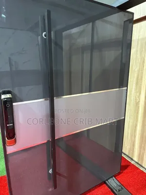 Pivot Door 4