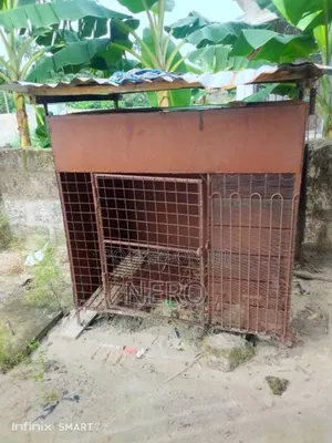 Photo - Dog Fairly Used Cage