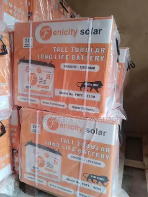 High Quality Fenicity Solar Tall Tubular Battery