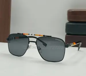 Burberry Quality Luxury Men Sunglasses