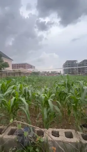 Residential Land for Sale in Kado, Abuja