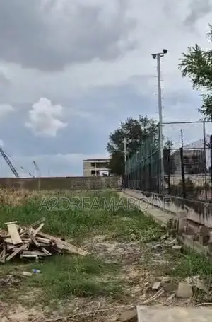 Banana Land