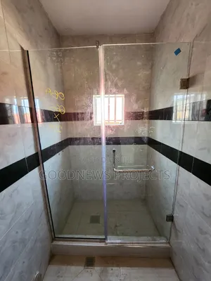 Clear Tempered Shower Door