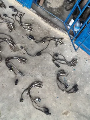 Oxygen Sensor For Exhaust
