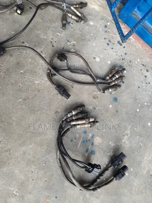 Oxygen Sensor For Exhaust