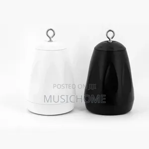 Fashion Suspended Ceiling Speaker