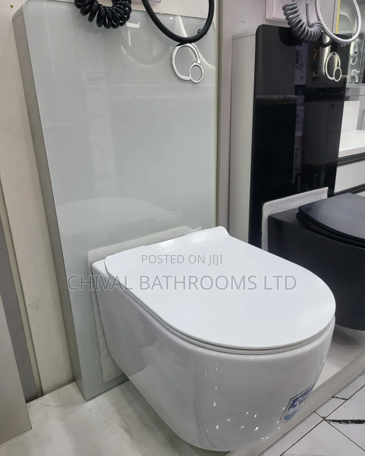 Wall Hung Visible Tank Wc
