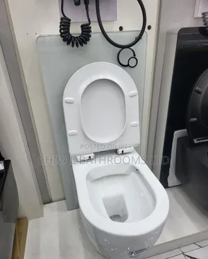 Wall Hung Visible Tank Wc