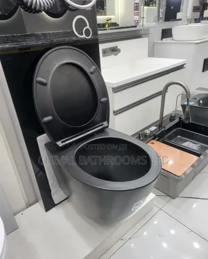 Wall Hung With Visible Wc