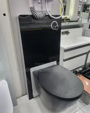 Wall Hung With Visible Wc