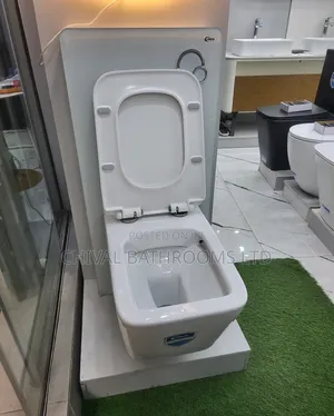 Wall Hung Visible Tank Wc