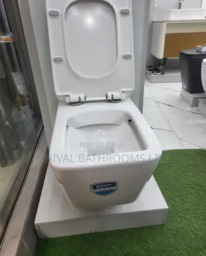 Wall Hung Visible Tank Wc