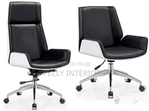 Executive Office Swivel Chair and Visitor Chair