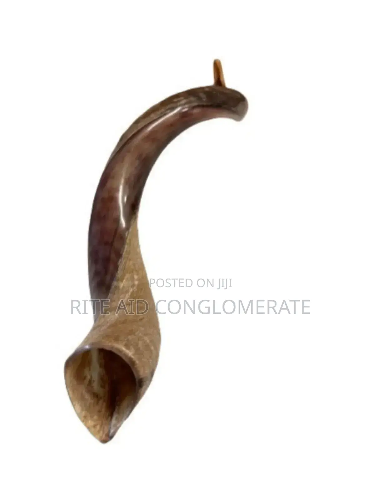 Jerusalem Shofar