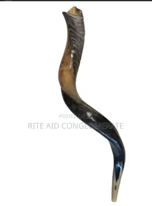Jerusalem Shofar