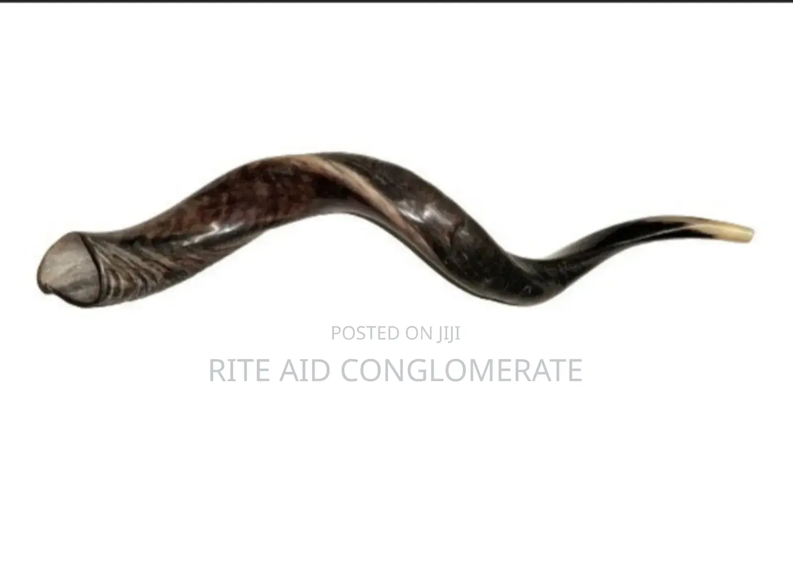 Jerusalem Shofar