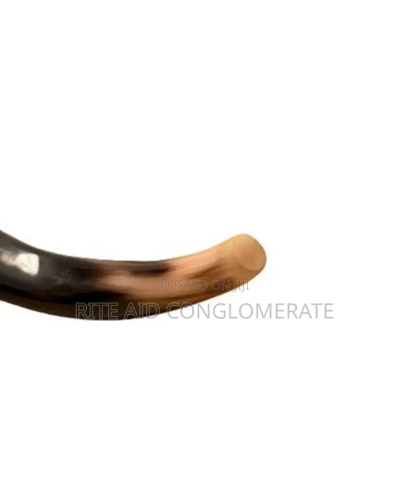 Jerusalem Shofar