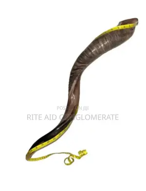 Jerusalem Shofar