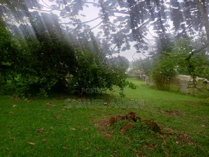 Photo - 1 Hectare of Land for by Airport Road Uyo Akwa Ibom State