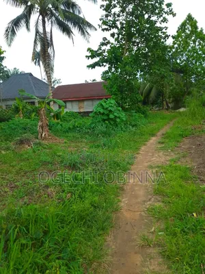 Buy and Pack in Land at Ulakwo Etche